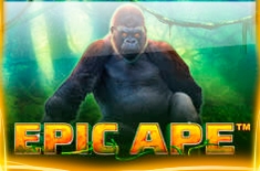 🔥Слот Epic Ape - играть на реальные деньги в клубе Pin Up